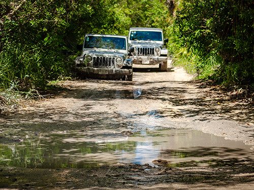 Cozumel Follow Jungle Trails Jeep Excursion Tickets