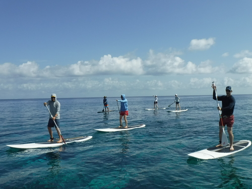 Cozumel Paddle Board Cruise Excursion Cost