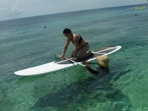Cozumel Paddle Boarding Tour Tickets