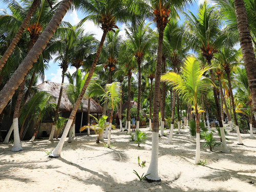 Cozumel Playa Palancar Day Pass Only