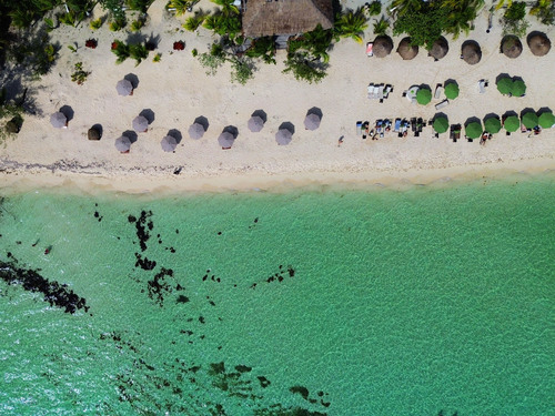 Cozumel Playa Palancar Day Pass Only