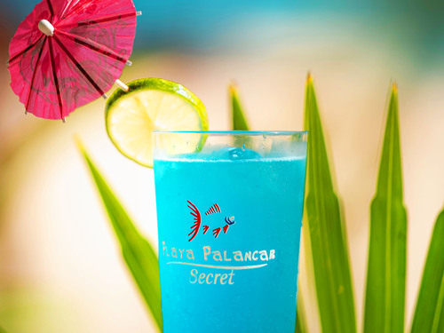 Cozumel Playa Palancar Day Pass Only