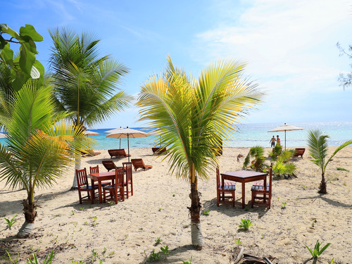 Cozumel Playa Palancar Day Pass Only