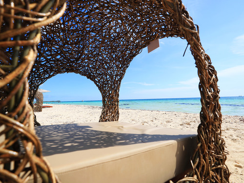 Cozumel Playa Palancar VIP All Inclusive Beach Day Pass Excursion