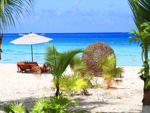 Cozumel Playa Palancar VIP All Inclusive Beach Day Pass Excursion