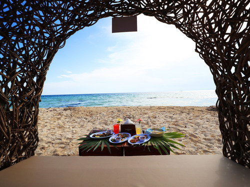 Cozumel Playa Palancar VIP All Inclusive Beach Day Pass Excursion