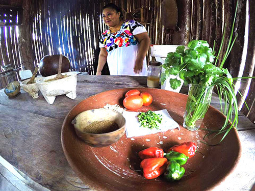 Cozumel Prehispanic Culture Sightseeing Trip Prices