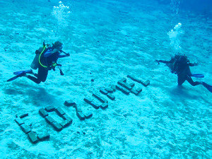 Cozumel Premium Fun Dive Excursion for Certified SCUBA Divers