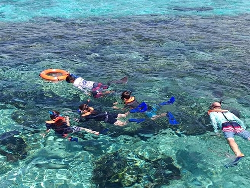 Cozumel private snorkel and cielo Cruise Excursion Cost
