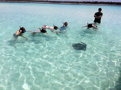 Cozumel private snorkel and cielo Shore Excursion Reviews