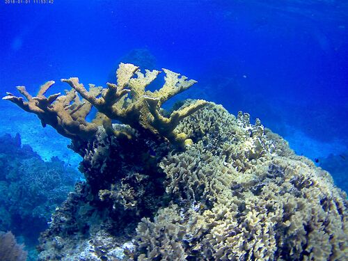 Cozumel  Mexico private boat Cruise Excursion Tickets