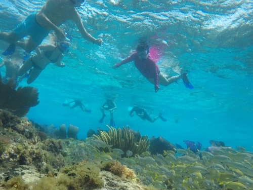 Cozumel private snorkel and cielo Excursion Reviews