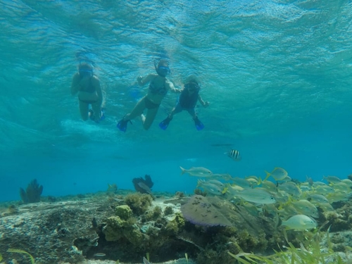 Cozumel private snorkel Excursion Reviews
