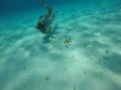 Cozumel  Mexico private el cielo Cruise Excursion Tickets