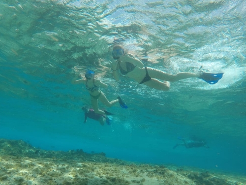 Cozumel  Mexico private el cielo Excursion Prices