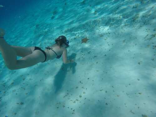 Cozumel private el cielo Excursion Tickets