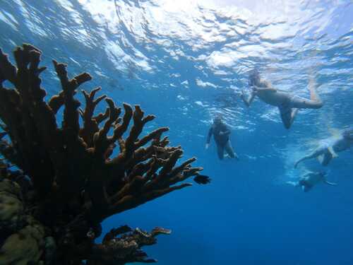 Cozumel  Mexico private charter Excursion Tickets