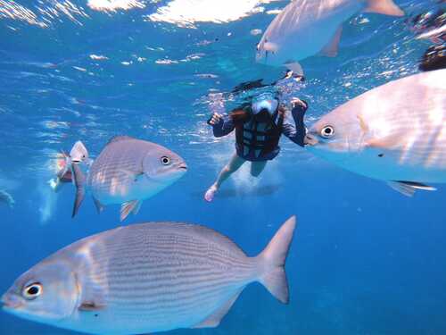 Cozumel private charter Tour Reservations