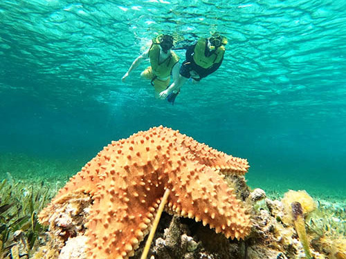 Cozumel Private Island Jeep Excursion with Lunch