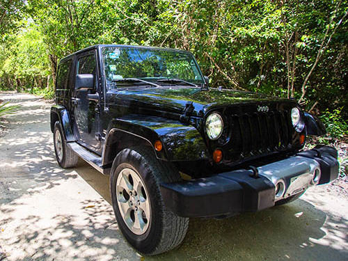 Cozumel Private Island Jeep Excursion with San Gervasio Mayan Ruins