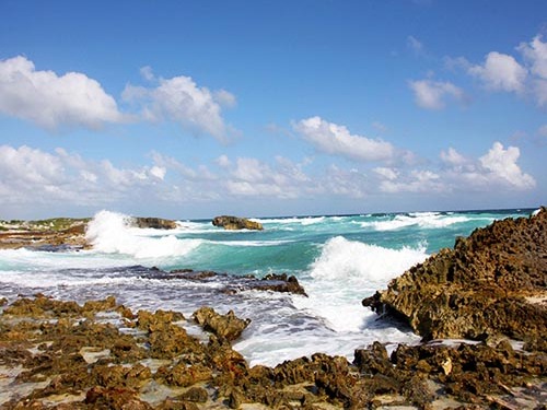 Cozumel Private Island Jeep Excursion with San Gervasio Mayan Ruins