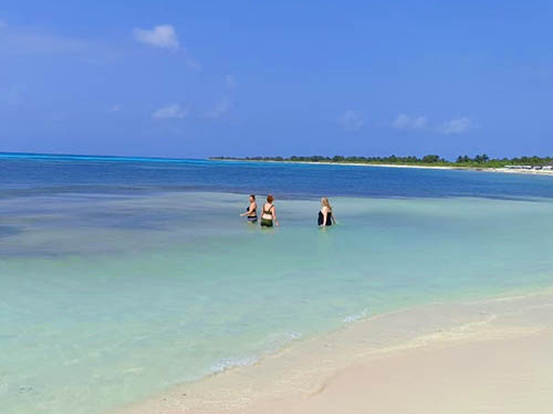 Cozumel Private Jeep Adventure with Otoch and Punta Sur Eco Park Excursion