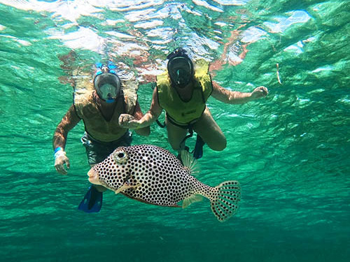 Cozumel Private Jeep Adventure with Otoch and Punta Sur Eco Park Excursion