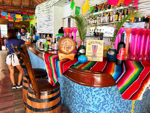 Cozumel Private Mayan Island, Tequila, Snorkel and Beach Excursion