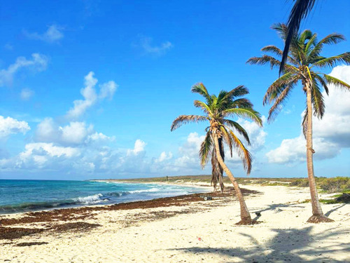 Cozumel Private Mayan Island, Tequila, Snorkel and Beach Excursion