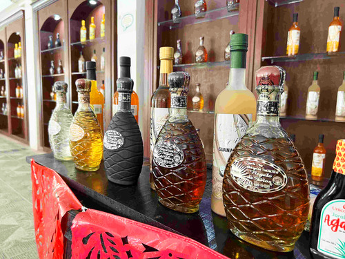 Cozumel Private Mayan Island, Tequila, Snorkel and Beach Excursion