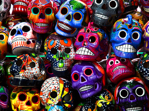 Cozumel restaurants Tour Booking