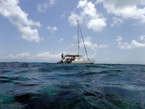 Cozumel Spinnaker Ride Sailing Trip Booking
