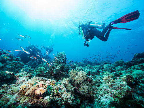 Cozumel scuba diving Excursion Reservations