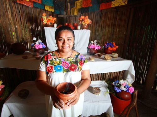 Cozumel  Mexico Sea Trek Chankanaab Tour Tickets