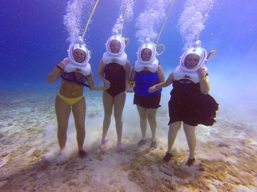 Cozumel  Mexico SEATREK Chankanaab Tour Reviews