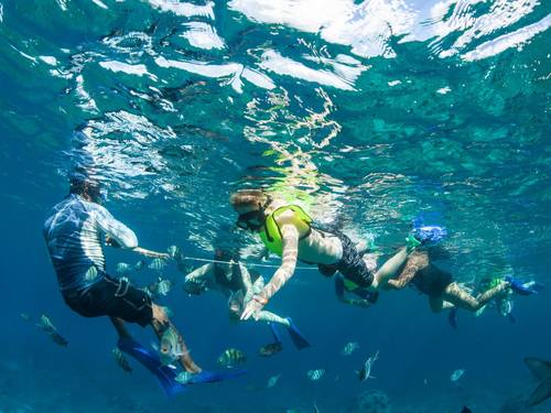 Cozumel  Mexico Coral Formations Snorkel Shore Excursion Cost