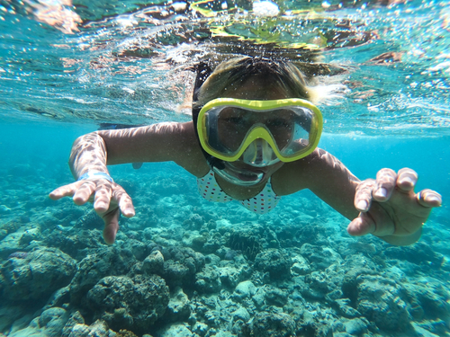 Cozumel snorkeling  Cruise Excursion Reservations