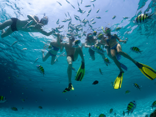 Cozumel Snorkeling Trip Prices