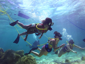 Cozumel SNUBA Dive and Chankanaab Snorkeling Excursion