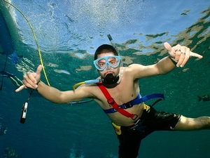 Cozumel SNUBA Diving Excursion and Shore Snorkeling Adventure