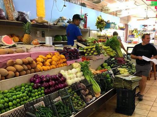 Cozumel foodie Shore Excursion Reservations