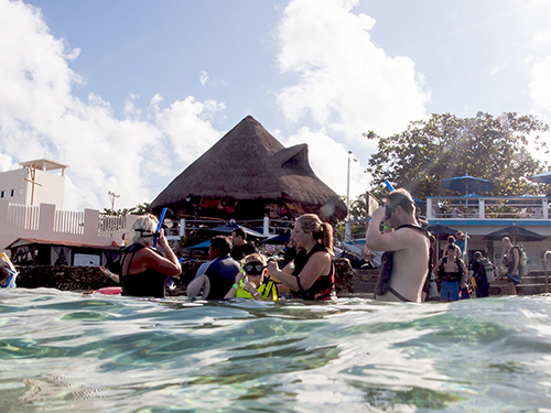 Cozumel Villa Blanca Reef Snorkel Tour Cost