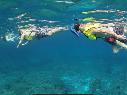 Cozumel Family Snorkel Excursion Reviews