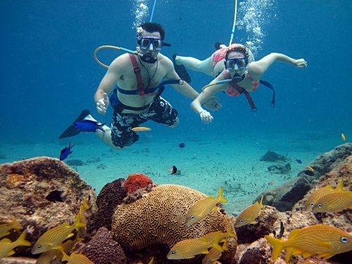 Cozumel Swimming Cruise Excursion Reservations