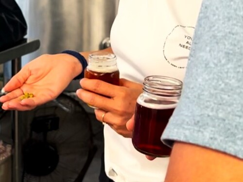 Cozumel Taco, Cerveza, and Mezcal Excursion