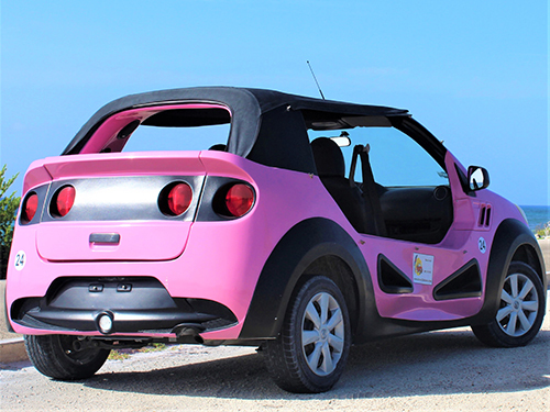 Cozumel East Side Sightseeing Cruise Excursion Reservations