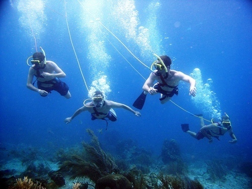 Cozumel Tropical Fish Cruise Excursion Tickets