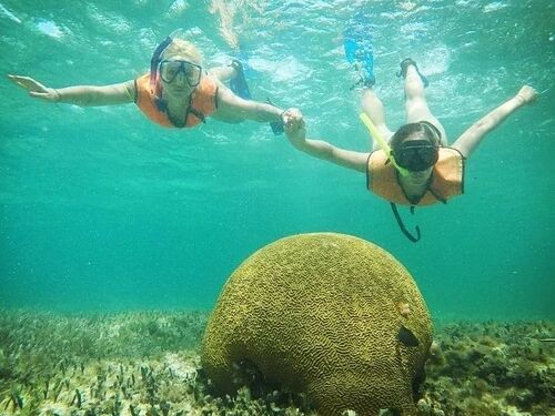 Cozumel underwater statues Excursion Cost