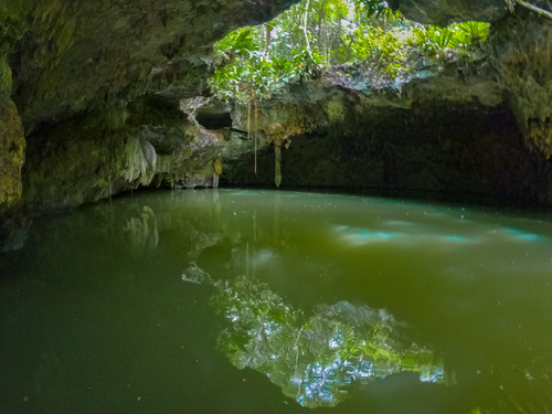 Cozumel Xrail Tour Reviews