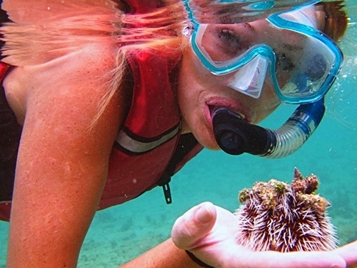 Charlotte Amalie kayak and snorkel Trip Tickets